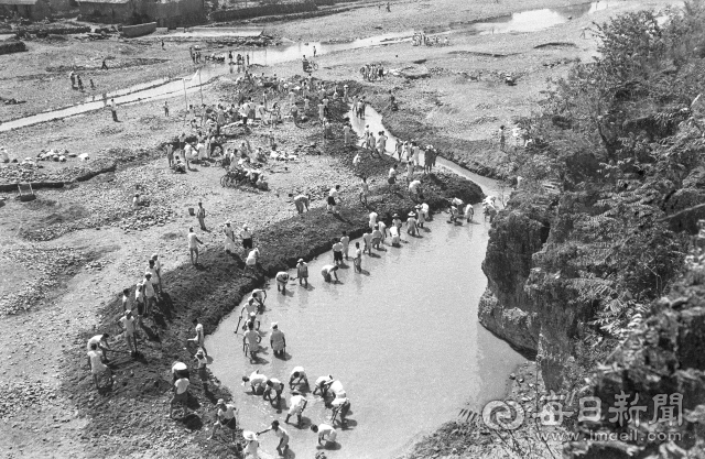1962년 7월 1일 극심한 가뭄에 공무원과 초등학교 교사들이 대구 신천 용두방천 부근에서 강바닥을 파 물을 모으고 있다. 사진=매일아카이빙센터