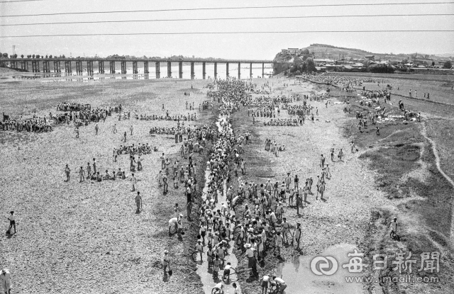 한발(가뭄)이 극심하던 1962년 7월 1일 대구 동구 아양교 하류 금호강에 나온 경상중, 대구중 학생들이 삽과 괭이로 강 오른편 마른 논에 용수할 물길을 내고 있다. 사진=매일아카이빙센터