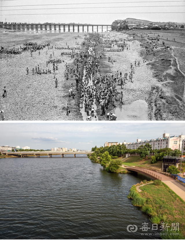 1962년 7월 1일 대구 동구 아양교 하류 금호강(위). 60여 년이 흐른 지금은 강에 들어선 수중보가 연중 물을 가두고 주변 논밭은 택지로 변했다. 사진=매일아카이빙센터