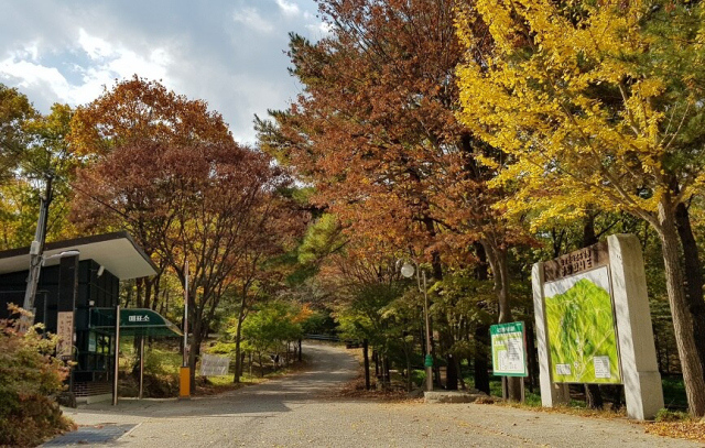 경북 경주 토함산자연휴양림 전경. 경주시 제공