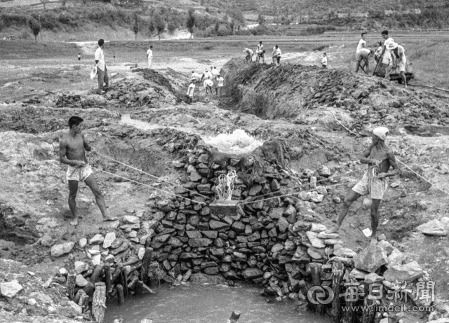 1962년 7월 경북의 한 시골 농민들이 극심한 가뭄으로 타들어가는 논밭에 물을 대기 위해 웅덩이에서 두레질로 물을 퍼 올리고 있다. 사진=매일아카이빙센터