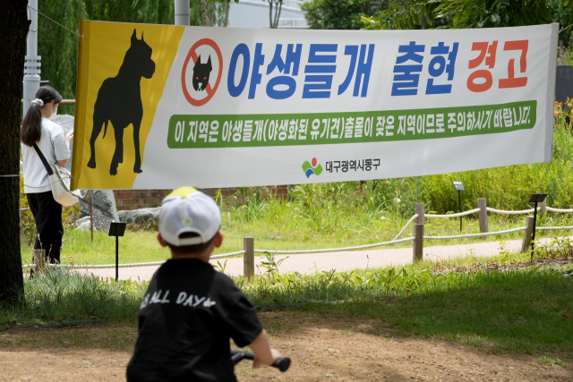 지난 2일 대구 동구 신서혁신도시에 걸린 