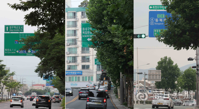 [포토뉴스] 가로수에 가려진 교통 표지판