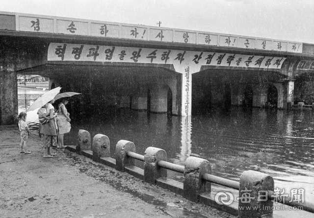 1961년 7월 7일, 주민들이 장맛비에 침수된 대구 북구 태평 지하차도를 바라보고 있다. 사진=매일아카이빙센터