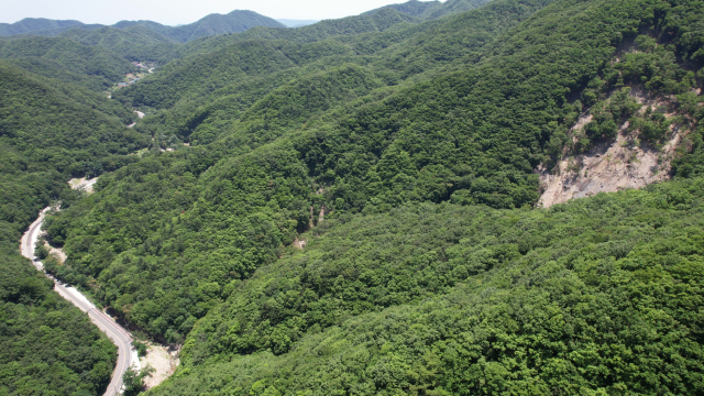 경주시 황용동 땅밀림 진행 지역 모습. 땅밀림 진행지 아래 이어진 도로가 지방도 945호선이다. 녹색연합 제공