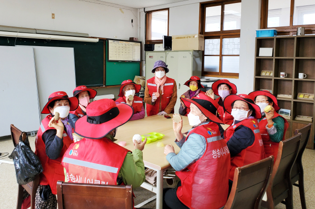 청송군이 성공적인 노인일자리사업을 추진하면서 보건복지부로부터 2년 연속 최우수상을 받았다. 청송군 제공