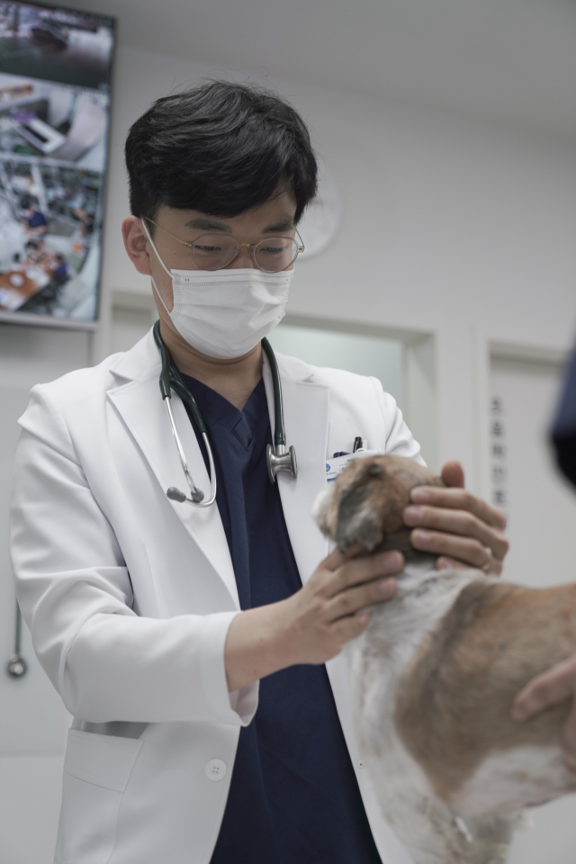 이세원 대구 바른동물의료센터 원장이 강아지를 진료하고 있다. 바르동물의료센터 제공