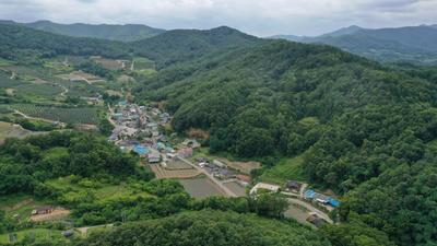 청송군 부남면 대전리 모습, 청송군 제공