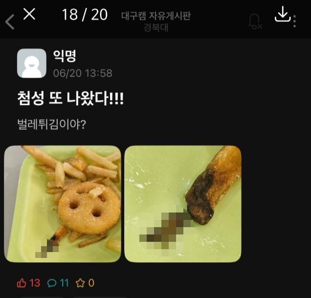 지난달 20일 경북대 첨성관에서 제공된 학식에서 나온 벌레 사진이 커뮤니티에 올라와 있다. 독자제공