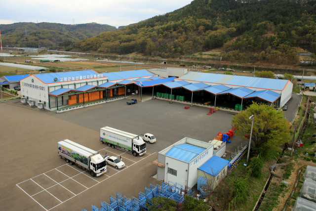 고령군은 농산물 유통경쟁력 강화에 나서고 있다. 고령군농산물산지유통센터 모습. 고령군 제공