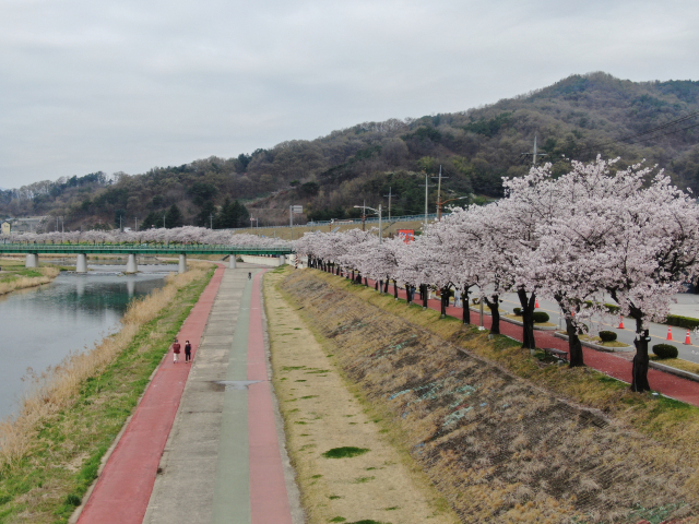 산림청이 주관한 