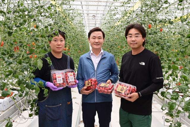 이남철(가운데) 고령군수와 청년농부들이 임대형스마트팜에서 재배한 방울토마토 첫 출하를 축하하고 있다. 고령군 제공