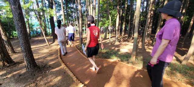 경남 양산 웅상체육공원 솔밭황톳길을 걷고 있는 시민들. [사진=양산시]