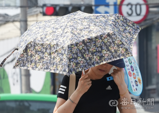 대구 낮 최고 기온이 34.4도까지 지난달 26일 도심에서 양산을 쓴 채 부채질을 하며 걷는 시민. 매일신문DB