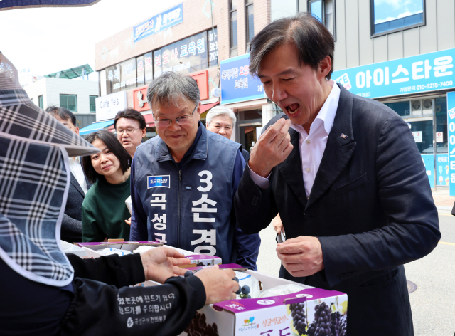 조국혁신당 조국 대표가 30일 전남 곡성 옥과면 한 과일 판매점에서 포도를 맛보고 있다. 연합뉴스