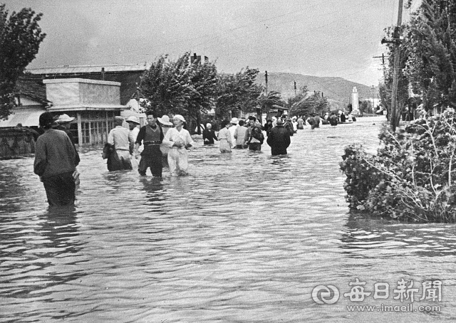 1959년 9월 18일 경북 월성군(경주시) 외동면(읍) 입실천이 범람해 주민들이 물에 잠긴 도로를 서성이고 있다. 사진=매일아카이빙센터