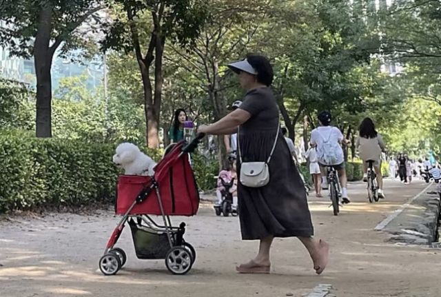 서울 성동구 서울숲공원에서 한 시민이 개를 태운 속칭 