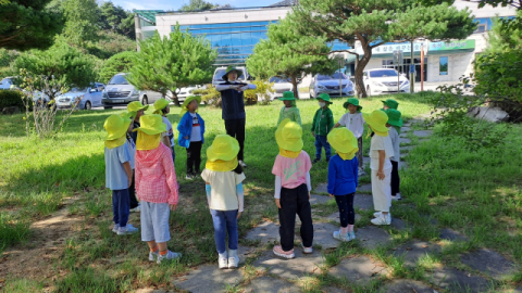 영주국유림관리소, 오감 가득 최고의 유아숲체험원 교육 신청하세요!