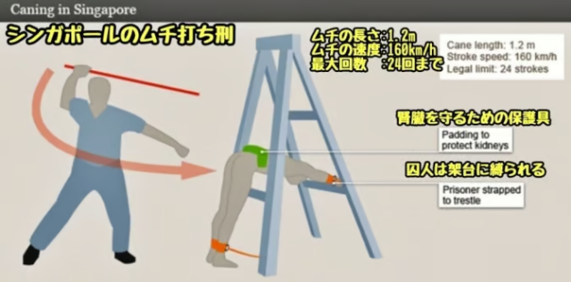 싱가포르 태형방식을 설명한 SNS상의 사진. X(옛 트위터) 갈무리