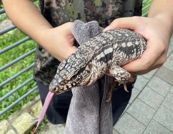 경기소방본부 제공