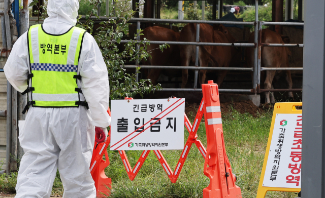 19일 럼피스킨이 발생한 경기도 여주시 한우농가에서 관계자들이 출입을 통제하고 있다. 연합뉴스