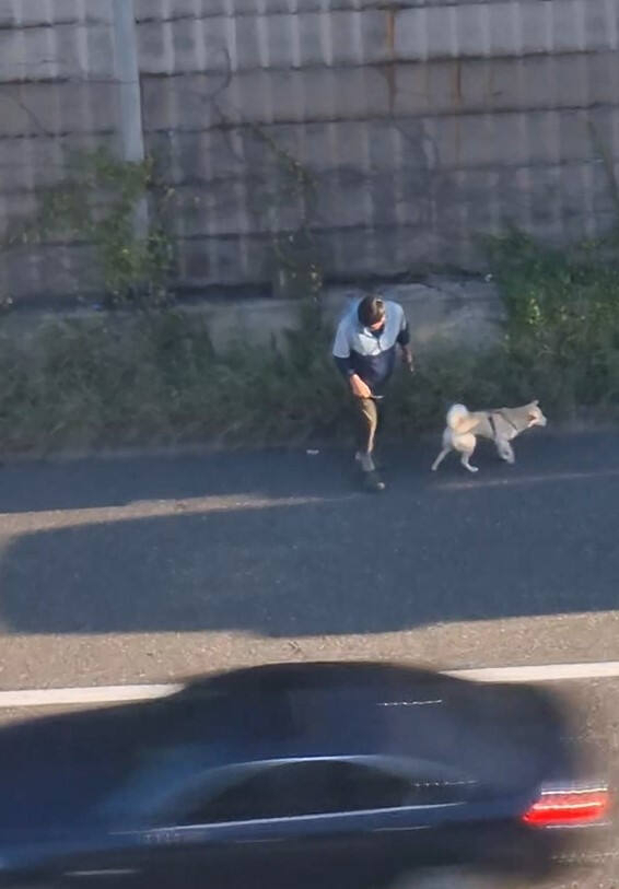 고속도로 갓길에서 반려견에게 변을 보도록 하게 한 후 그대로 자리를 떠나는 화물차주. 사진 독자, 연합뉴스