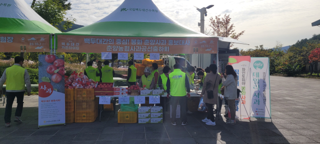 지난해 국립백두대간수목원에서 열린 봉화사과 홍보 판매 부스 모습. 봉화군 제공