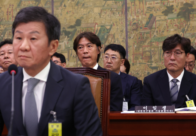 축구 국가대표팀 홍명보 감독과 이임생 대한축구협회 기술총괄이사가 24일 국회에서 열린 문화체육관광위원회 전체회의에서 나란히 앉아 있다. 앞은 정몽규 대한축구협회장. 연합뉴스