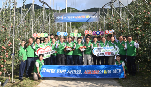 경북도, '경북형 평면 사과원'으로 사과주산지 명성 회복한다