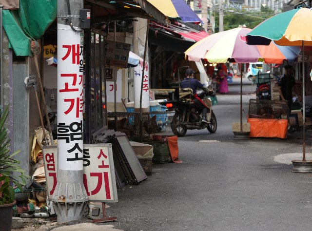 말복인 지난 8월 14일 대구 칠성시장 내 식용 개를 파는 식당 골목이 한산한 모습을 보이고 있다. 김영진 기자 kyjmaeil@imaeil.com