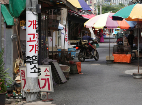 개 식용 종식, 잔여견은 어디로?…대구시 센터 이미 포화 상태