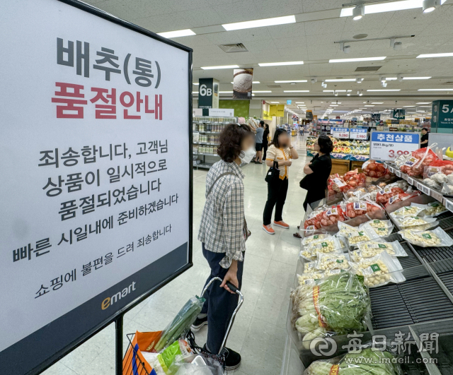 올 여름 긴 폭염으로 배추 작황 불황이 지속되면서 수급에 차질이 생겨 배추 품귀 현상이 지속되고 있다. 26일 대구의 한 대형마트 야채코너에 배추 품절 안내문이 게시돼 있다. 안성완 기자 asw0727@imaeil.com