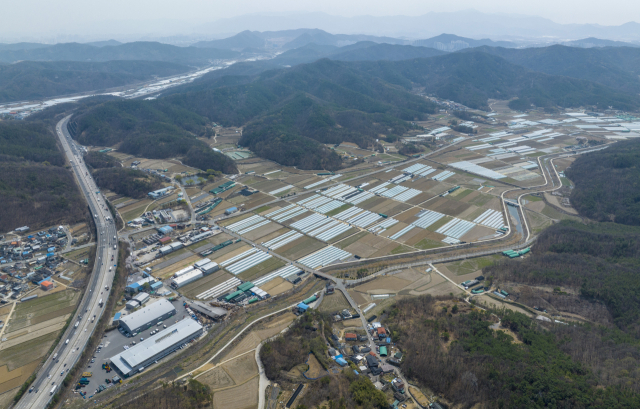 대구 북구 매천동 농수산물도매시장이 이전 될 장소인 달성군 하빈면 대평지구 일대 모습. 매일신문 DB