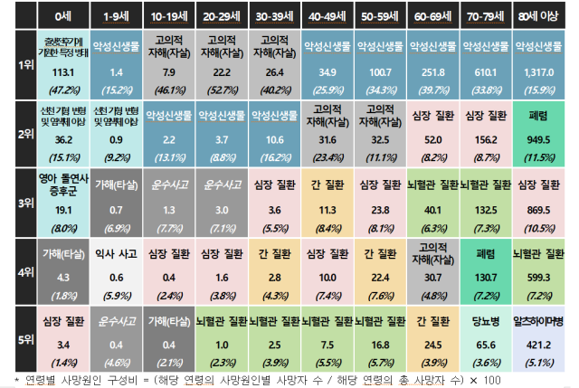 연령별 5대 사망원인 사망률 및 구성비, 2023. 통계청 제공