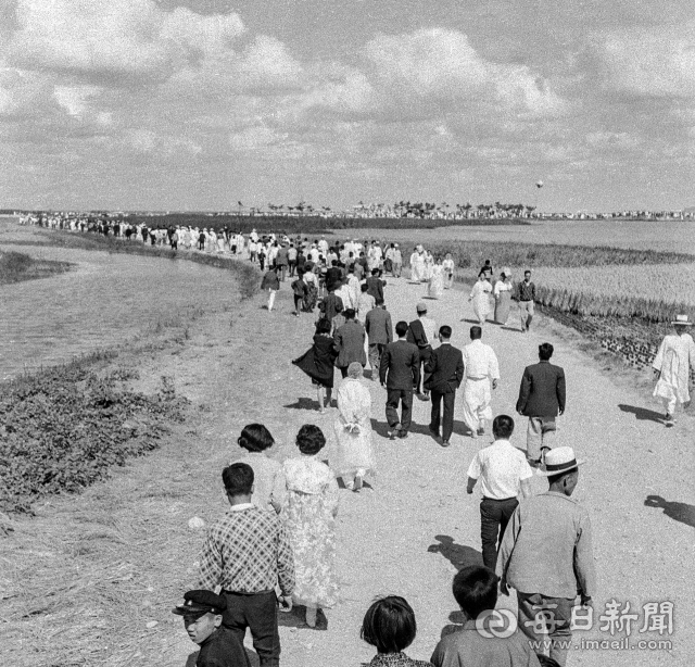 1967년 10월 3일 영포지구종합제철공업단지 기공식날, 10만 인파가 몰리는 바람에 차량을 얻어 타지 못한 주민들이 멀리 기공식장까지 걸어가고 있다. 사진=매일아카이빙센터