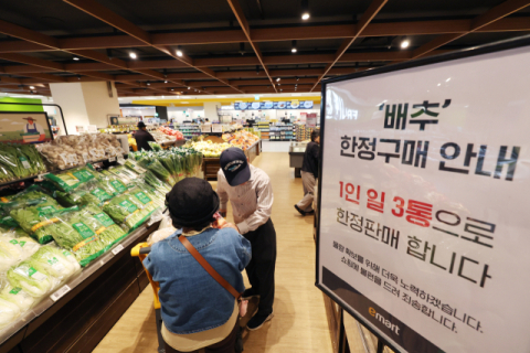 김장철 코앞인데…배춧값 8천 원 대 기록