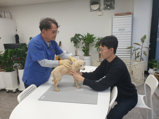 동물등록대행기관(하수의과 동물병원)에서 동물등록 업무를 수행하고 있다. 봉화군 제공