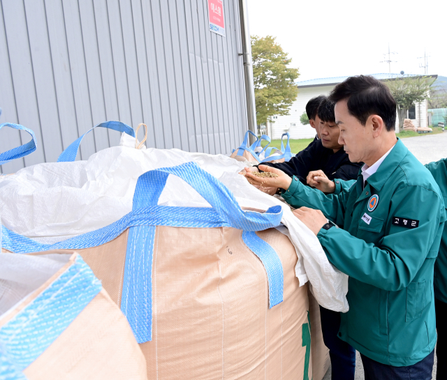 고령군은 다음 달 2일까지 2024년산 산물벼 매입을 한다. 고령군 제공