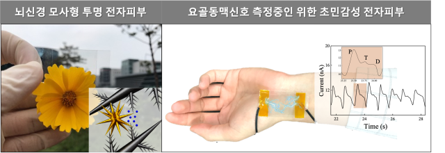 DGIST 공동연구팀이 개발한 초민감성 전자피부. DGIST 제공.