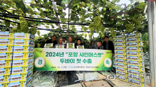 17일 포항 영일만샤인머스켓작목반 농가에서 두바이 첫 수출을 기념하는 상차식이 열리고 있다. 포항시 제공