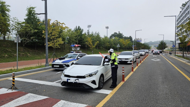 출근길 음주운전 단속. 경북경찰청 제공.