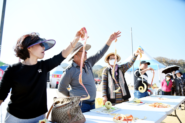 제18회 청송사과축제가 20일부터 다음 달 3일까지 5일간 청송 용전천 일원에서 열린다. 사진은 지난해 축제 모습. 청송군 제공