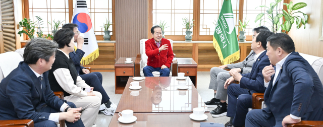 홍준표 대구시장이 24일 전남도의회 의원들을 만나 공항 중심의 지역 발전 방안을 제시했다. 대구시 제공