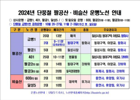 팔공산 단풍철 '급행 1번' 2회 증차 운행…26일부터 주말 DRT 운행 시작