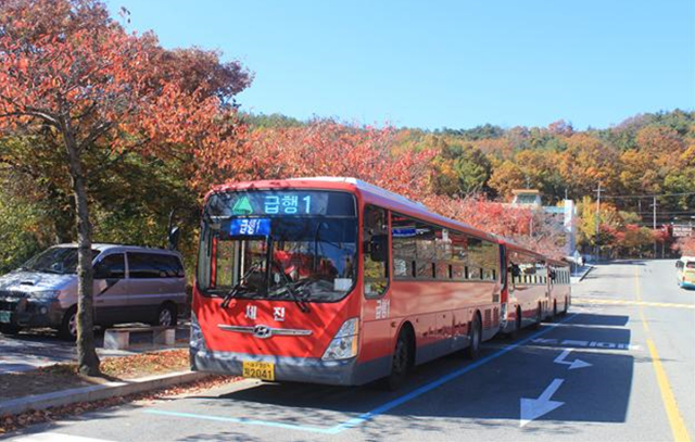 대구시 제공