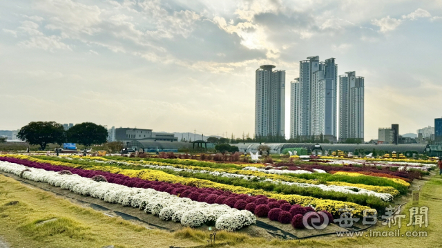 포항시 남구 상도동 뱃머리 마을 전경. 포항시 제공