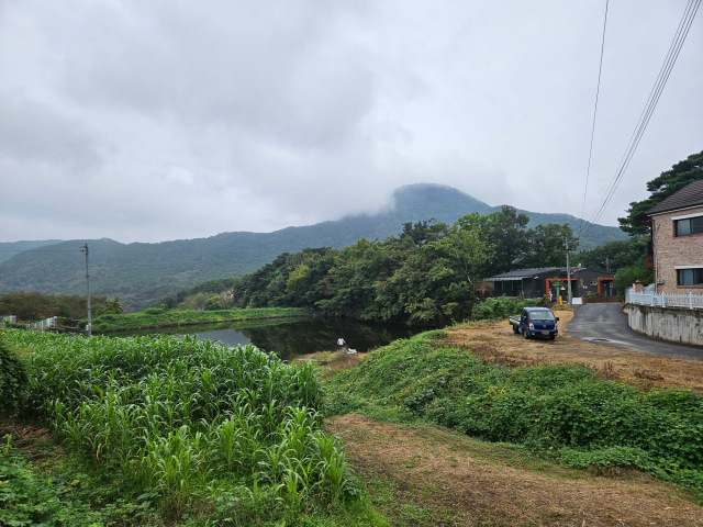 동구 내동의 