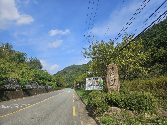 매여마을로 걷던 중 마주친 동구5번 버스. 오가는 버스가 동구5번뿐인 매여마을에선 더없이 반가운 존재다. 윤정훈 기자.