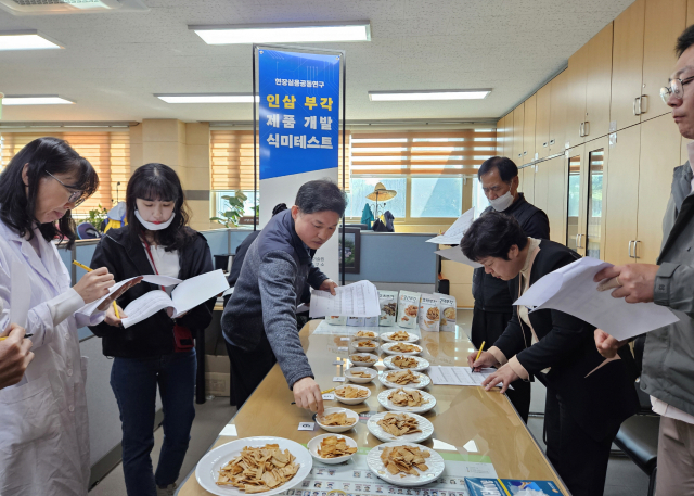 영주시 농업기술센터가 식품교육장에서 인삼부각 제품개발 식미 테스트를 진행하고 있다. 영주시 제공