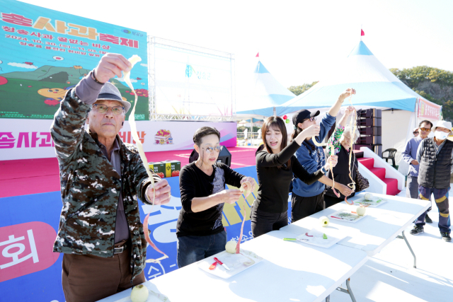 청송사과축제를 방문한 관광객이 사과 껍질을 길게 깎아 보이고 있다. 청송군 제공